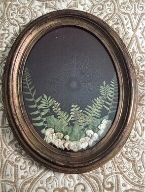 Spider Web Preserved On Maroon Velvet Vintage Wood Frame Ferns Fungi Halloween